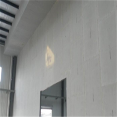 安宁新型建筑材料掺多种工业废渣的ALC|ACC|FPS模块板材轻质隔墙板